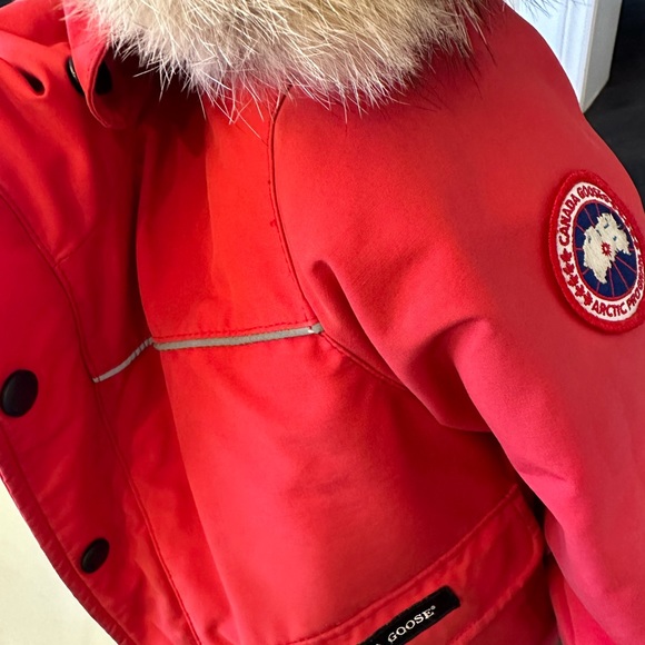 Jacket - Picture 11 of 13